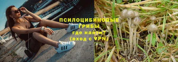 гидра Алзамай