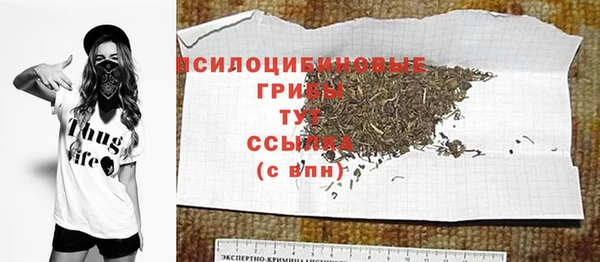 гидра Алзамай