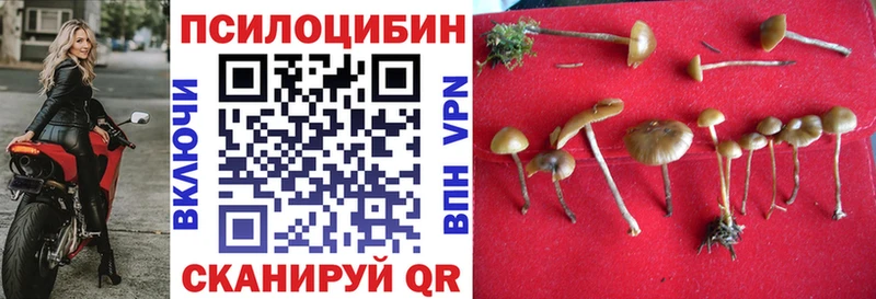 Псилоцибиновые грибы прущие грибы  Лаишево 