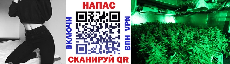 цена наркотик Лаишево OMG tor Канабис семена